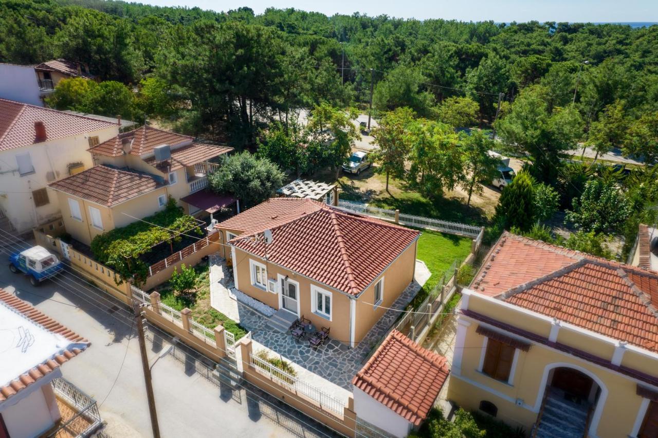 Pines Holiday home